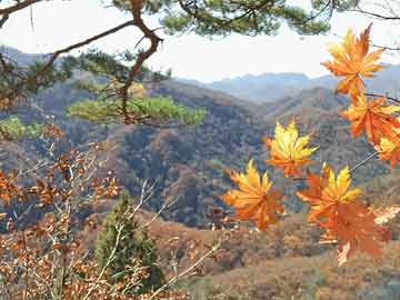  小牛加速器无法连接节点 ， 苹果手机连接不上小牛加速器 